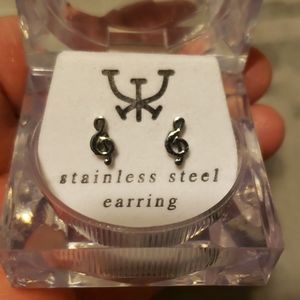 Stainless steel earrings